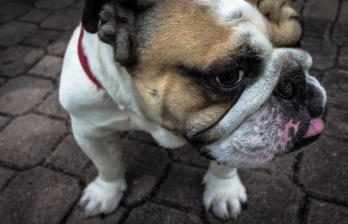 Статья в блоге